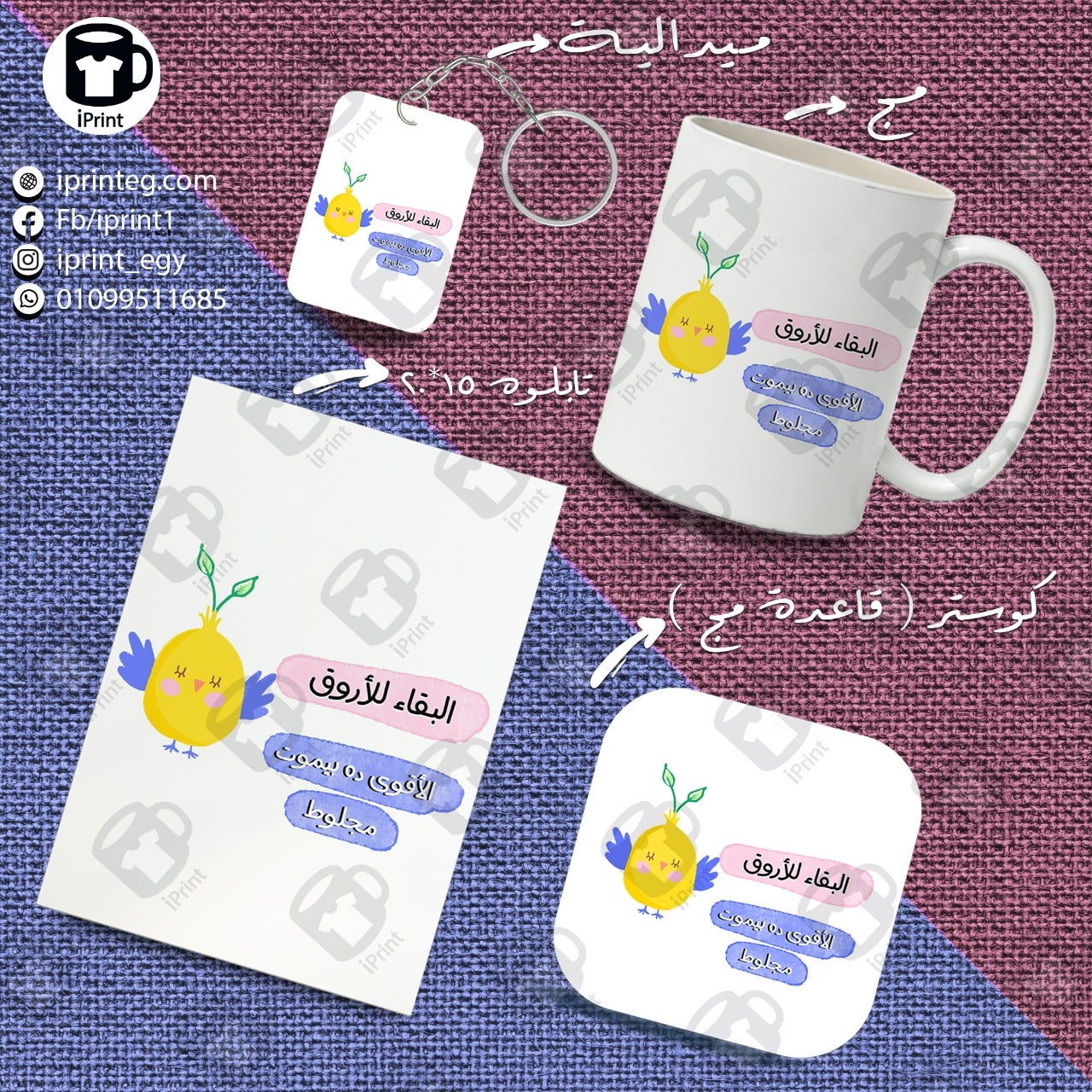 Super Package Katkoot Comic البقاء للاروق